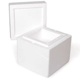 DRY ICE STORAGE CONTAINER PS WITH PLUG TYPE LID 5L
