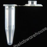 MICROCENTRIFUGE TUBES 0.6ML PP DNASE/RNASE FREE PK.500