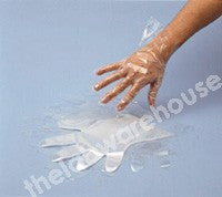 GLOVES PE DISPOSABLE NS LARGE PK 100 GLOVES