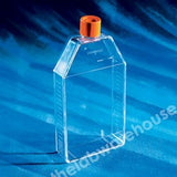 T.C. FLASKS TREATED PS 150 CM2 C/NCK PE PLUG CAP PK 50