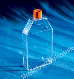 T.C. FLASKS TREATED PS 150 CM2 C/NCK PE PLUG CAP PK 50