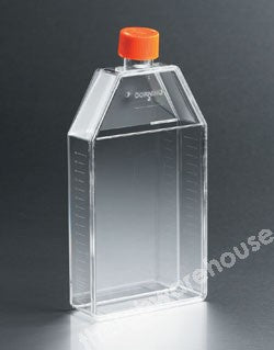 T.C. FLASKS TREATED PS 150 CM2 C/NCK, PE PLUG VENT CAP PK 50