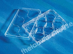 MULTIWELL PLATES PS 6 WELLS FLAT BOTTOM WITH LID PK 50