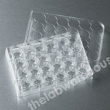 MULTIWELL PLATES PS 24 WELLS FLAT BOTTOM WITH LID PK 50